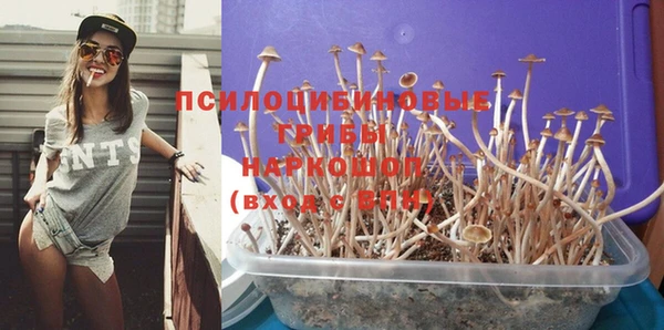 бутират Армянск