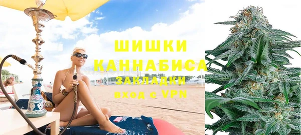 ешки Арсеньев