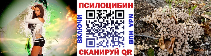 нарко площадка клад  цена   Прохладный  Галлюциногенные грибы ЛСД 